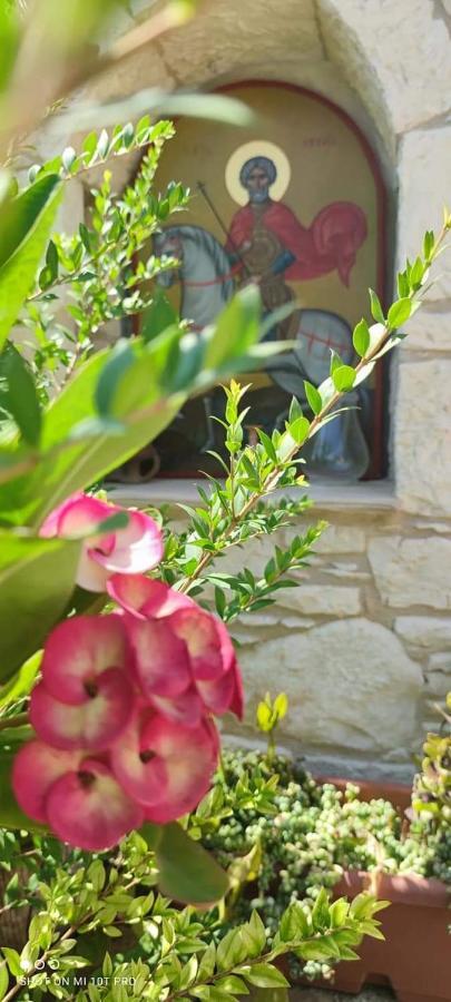 Gasthaus Aliki'S House 1+ 2 Polis Exterior foto